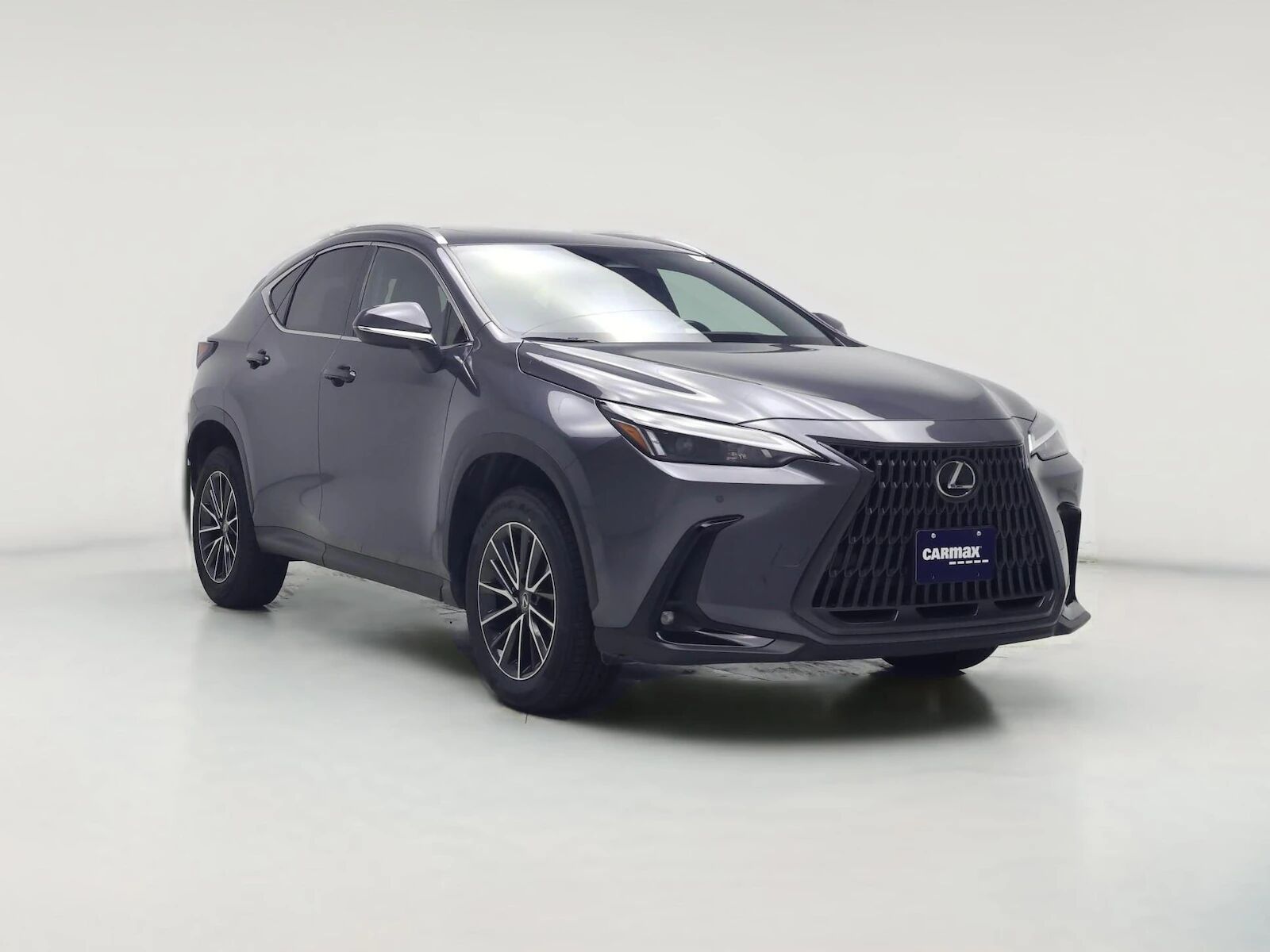2024 LEXUS NX