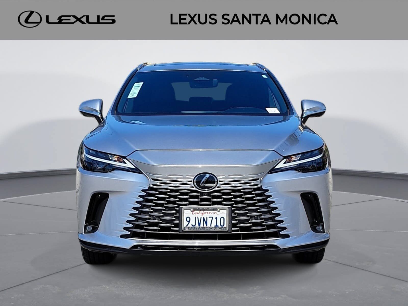 2024 Lexus RX