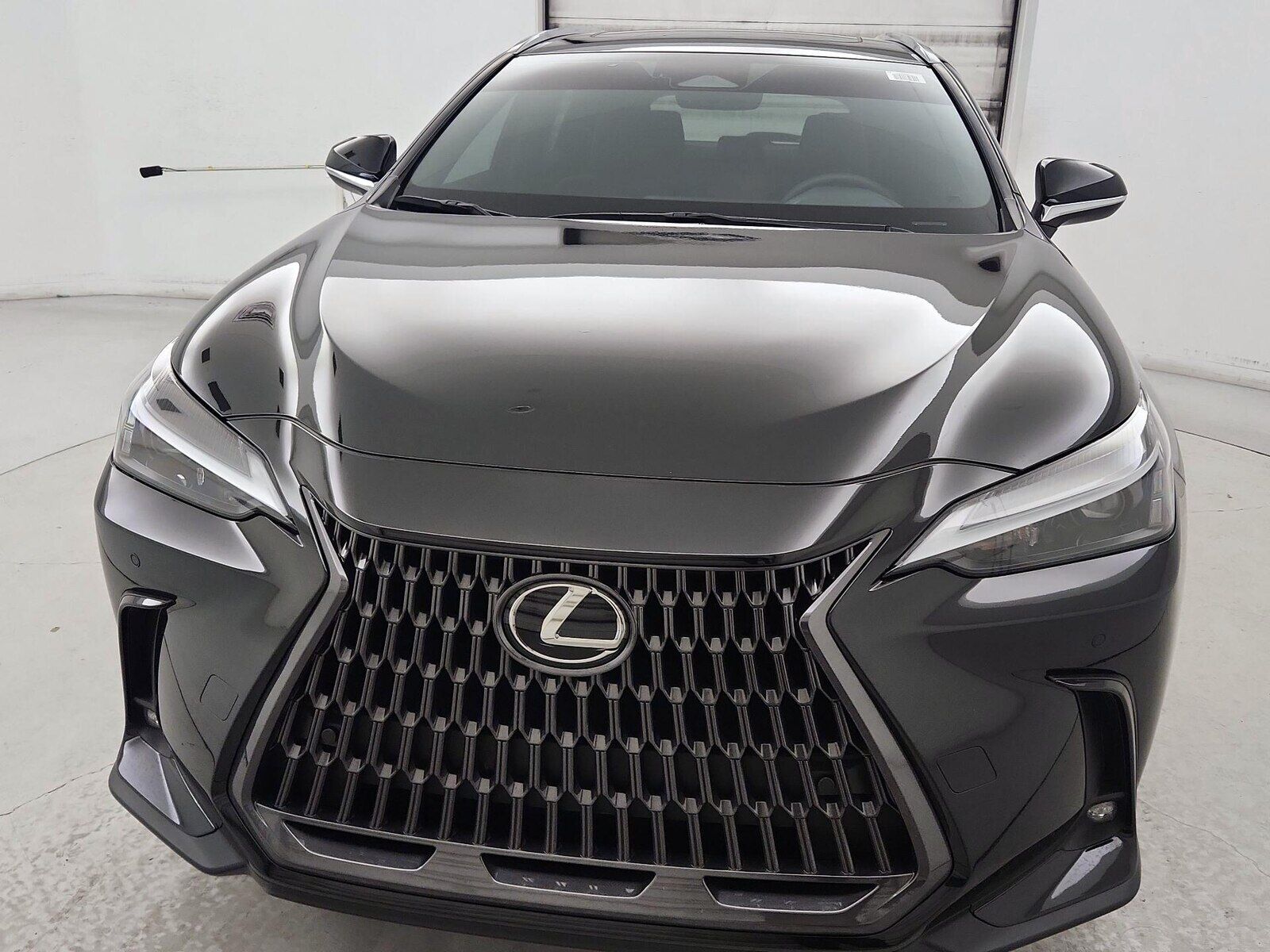 2025 Lexus NX