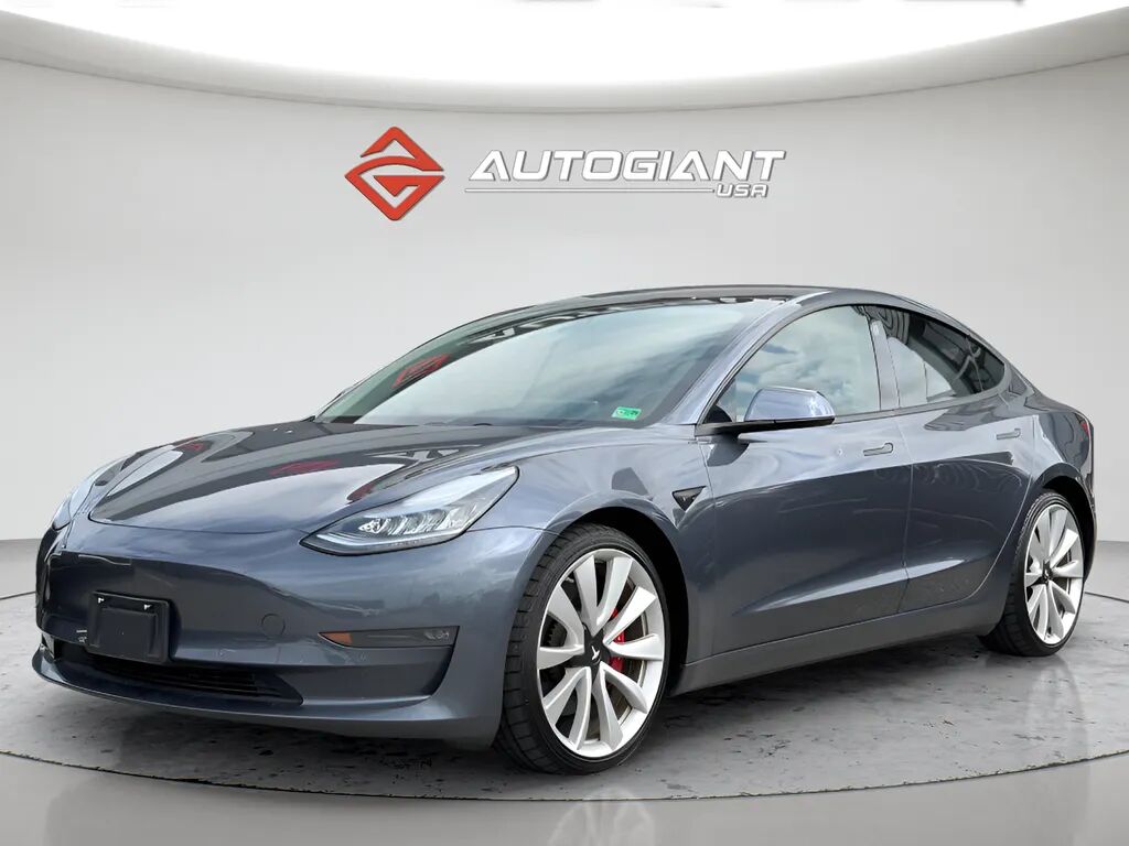 2019 TESLA Model 3
