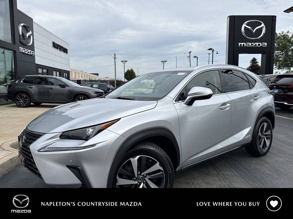 2019 LEXUS NX