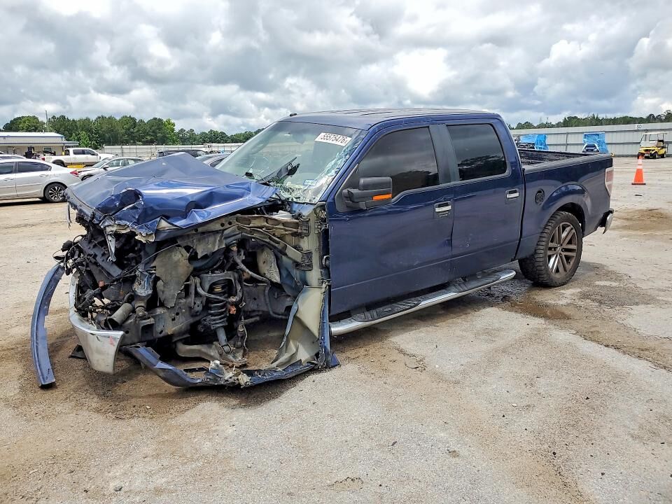 2010 FORD F-150