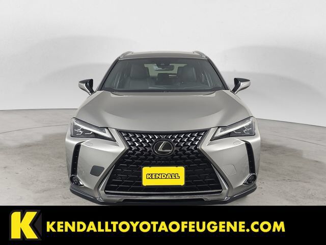 2019 Lexus UX
