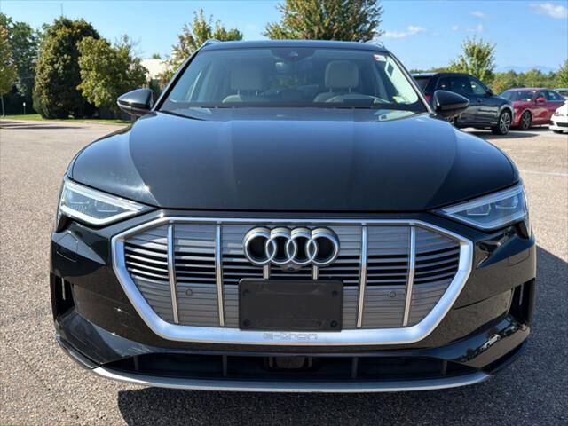 2019 Audi e-tron