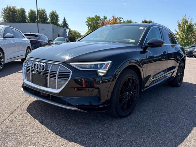 2019 AUDI e-tron