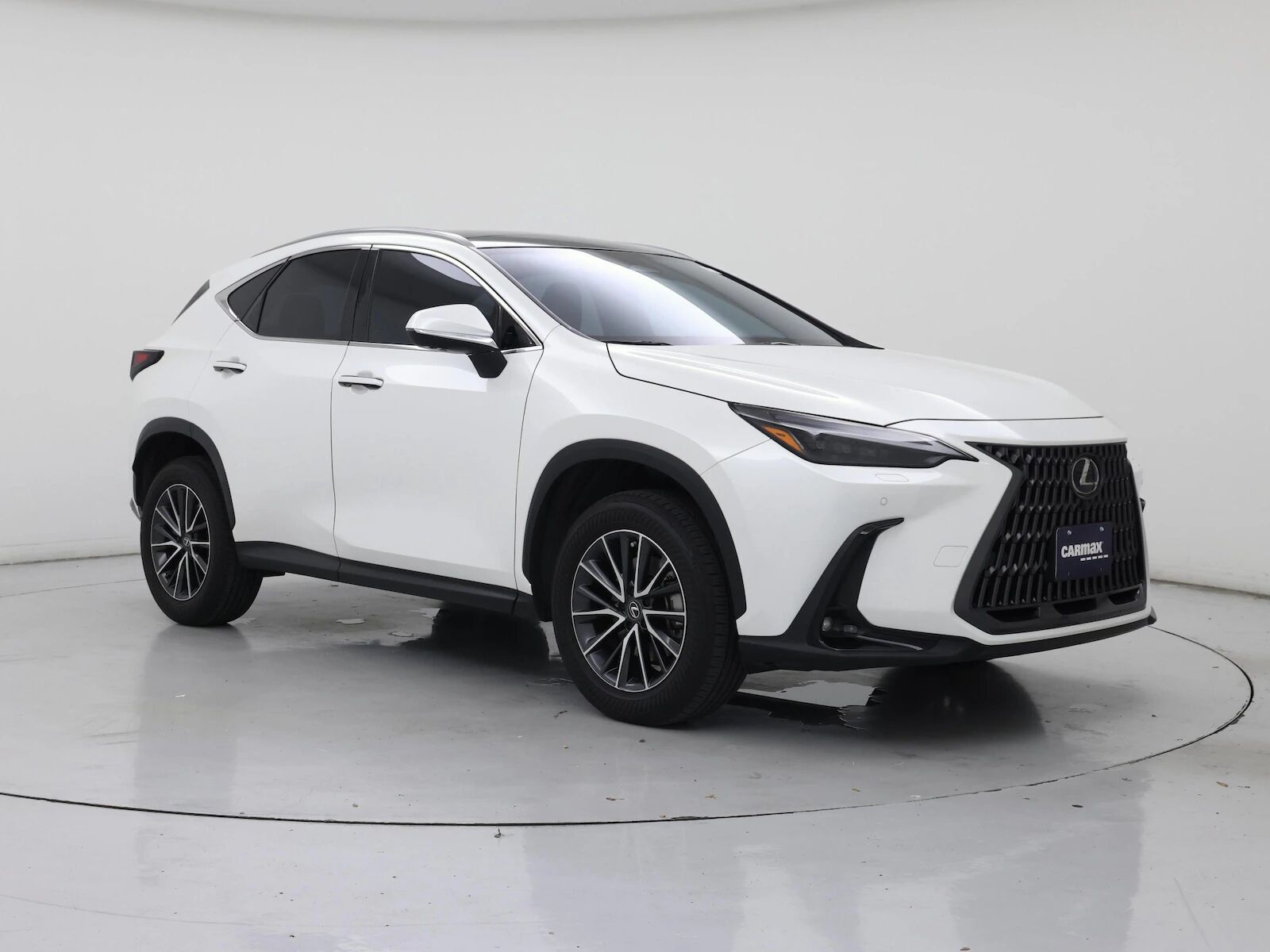 2024 Lexus NX