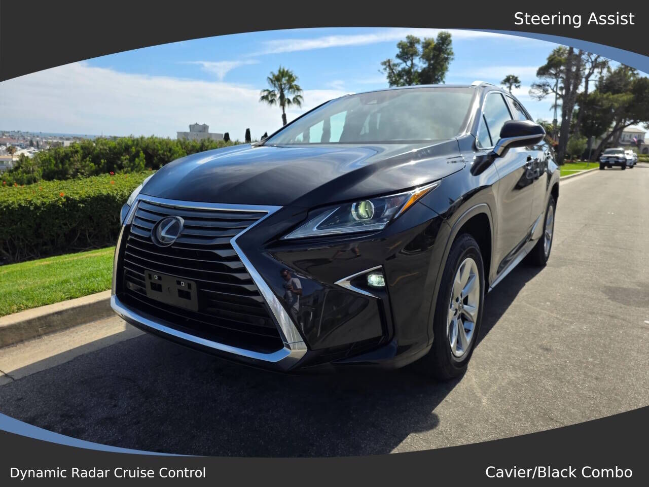 2019 LEXUS RX