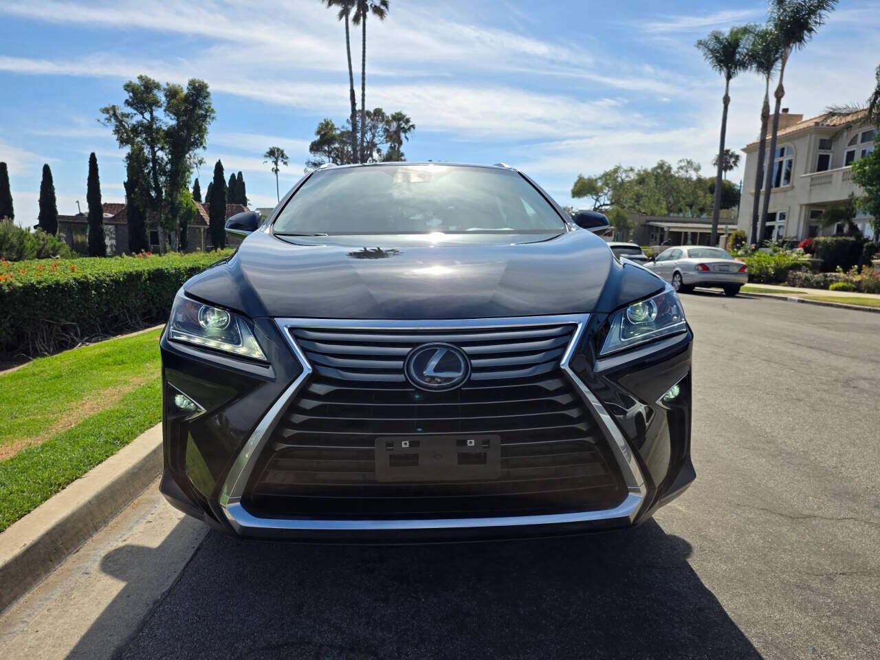 2019 Lexus RX