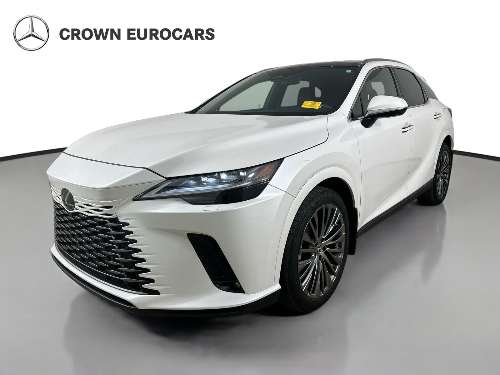 2024 Lexus RX