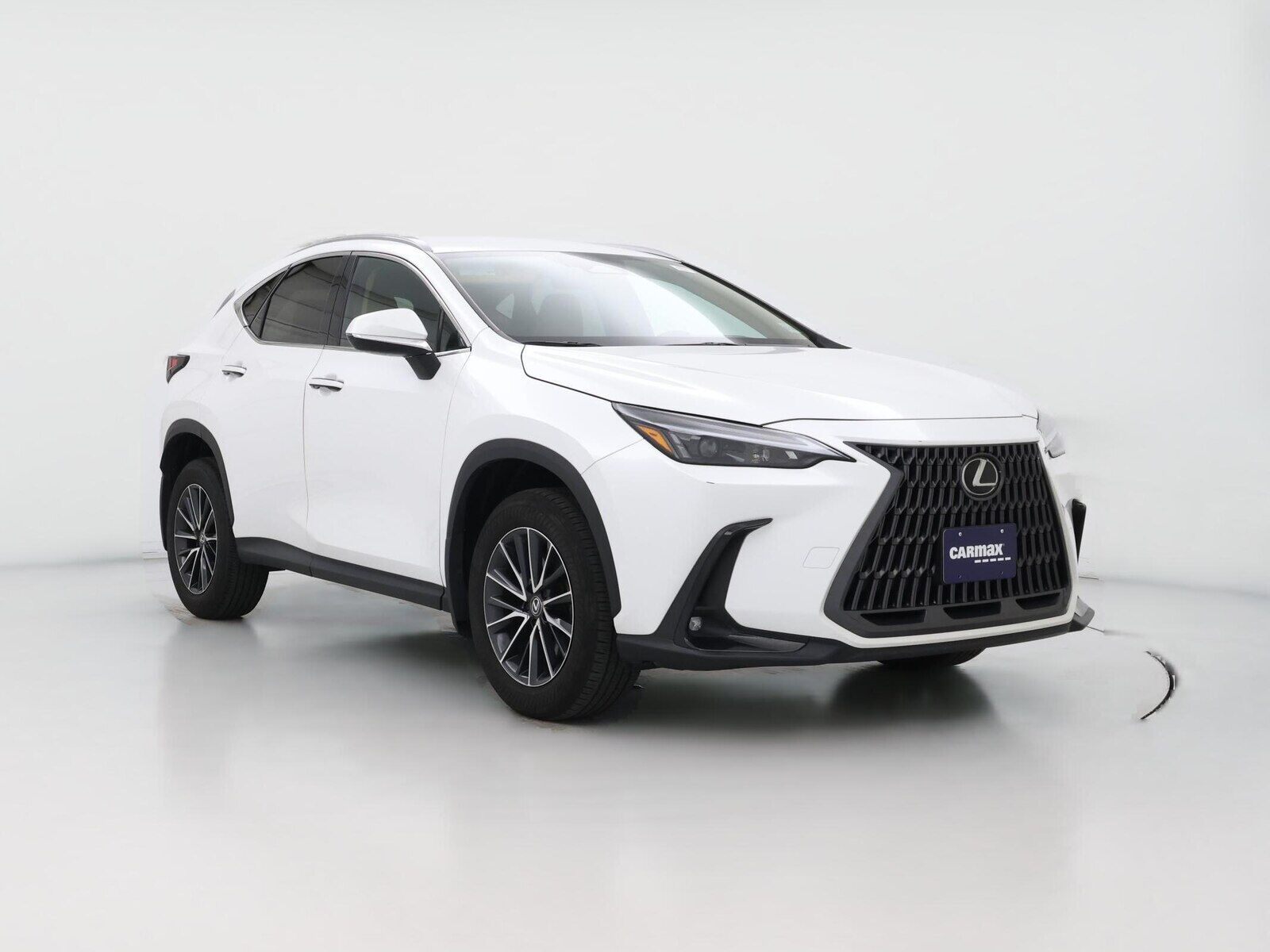 2024 LEXUS NX