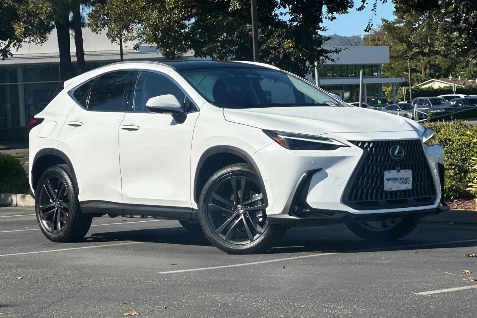 2026 Lexus NX