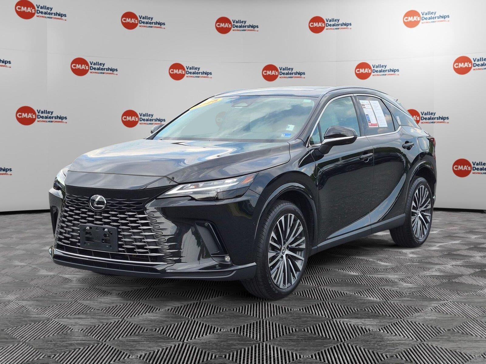 2025 LEXUS RX