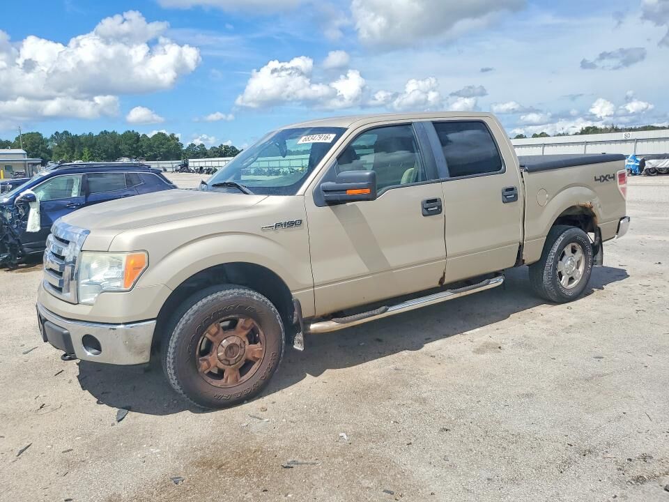 2010 FORD F-150
