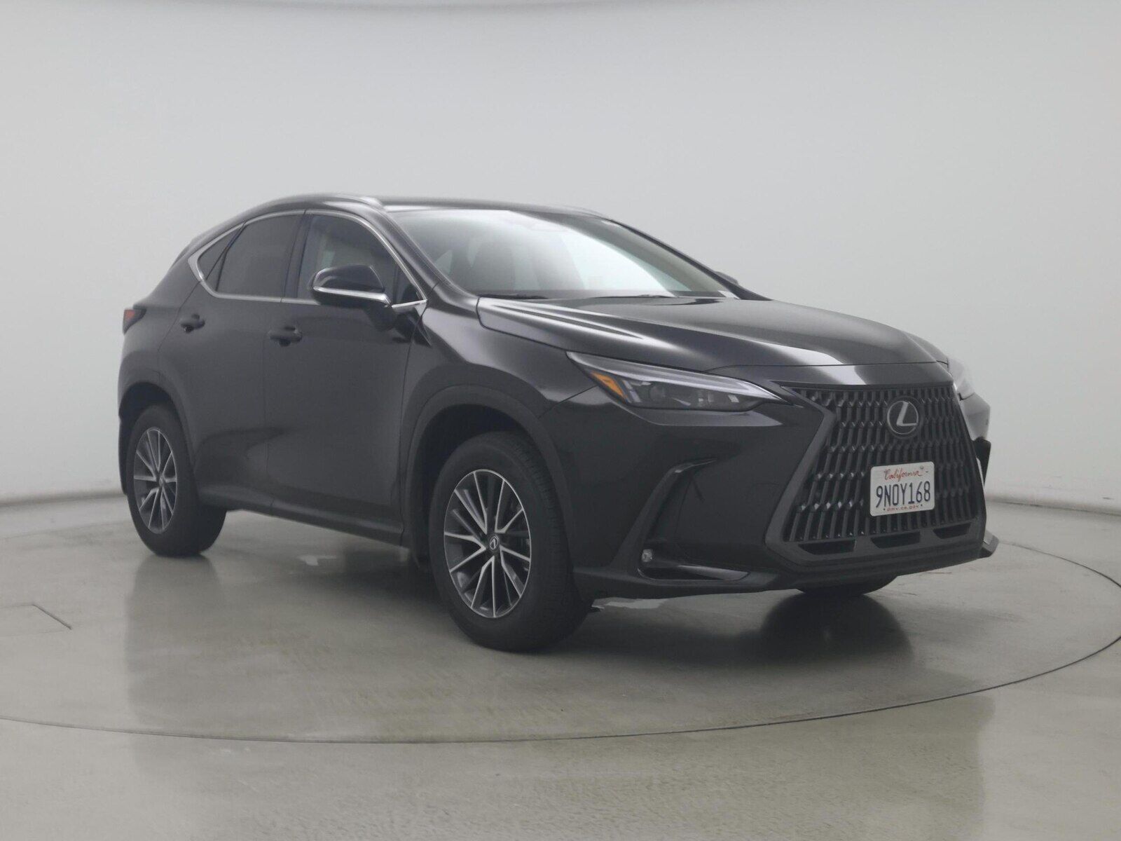 2025 Lexus NX