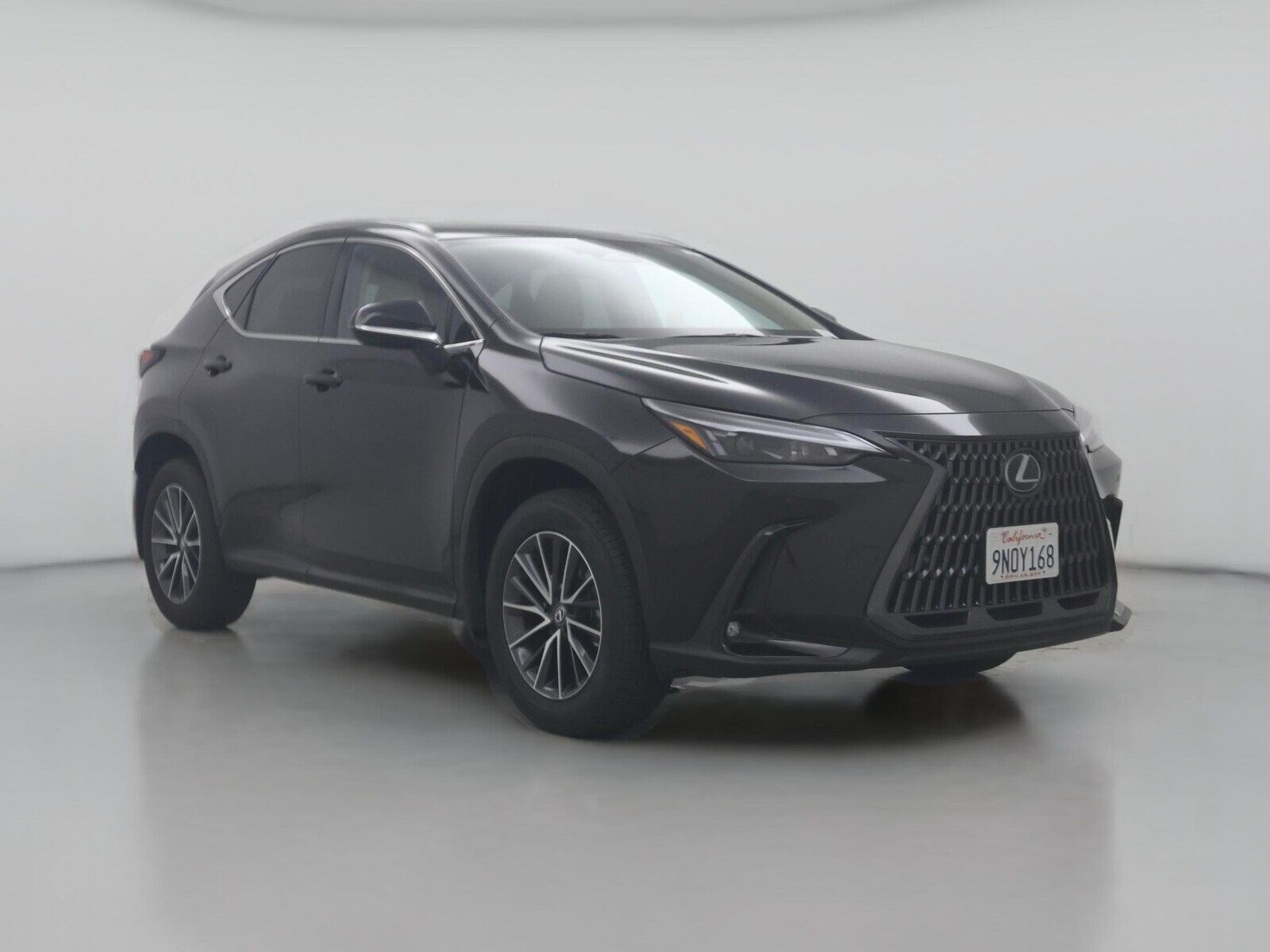 2025 LEXUS NX