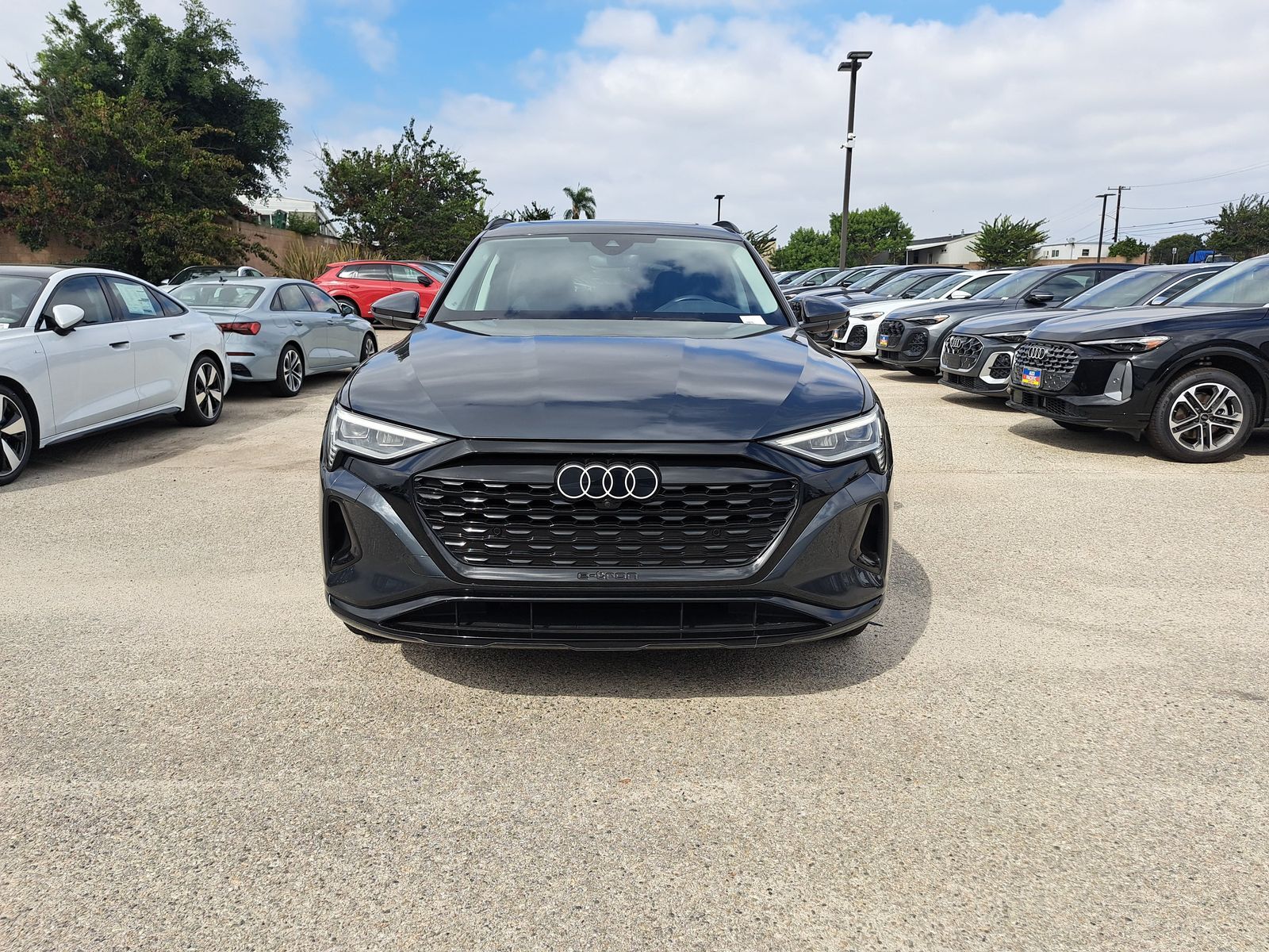 2024 Audi Q8