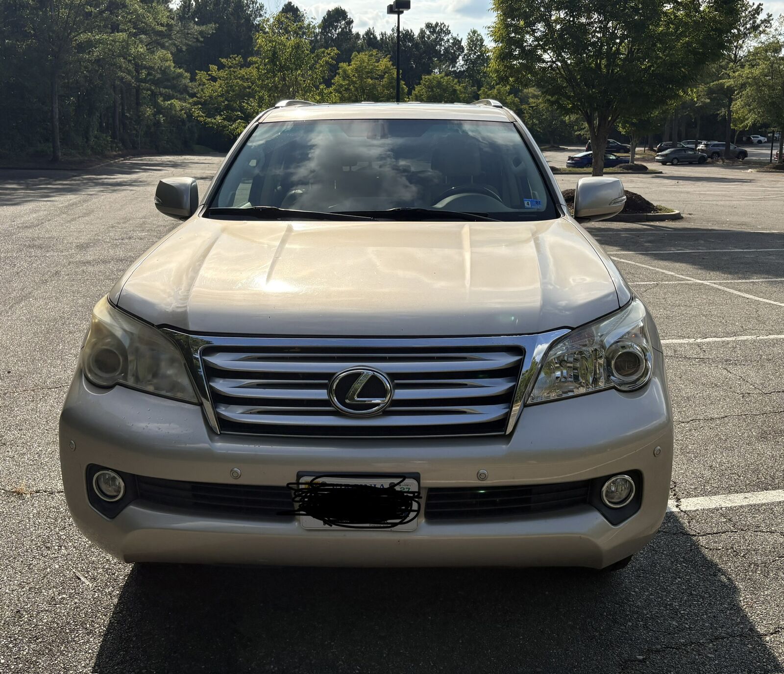 2013 Lexus GX