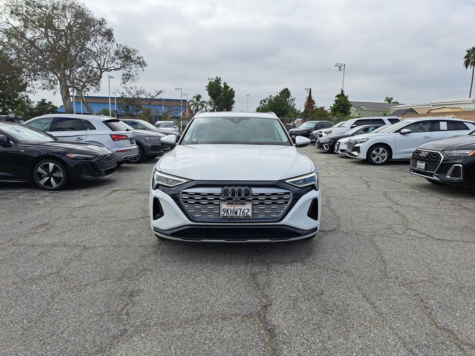 2024 Audi Q8