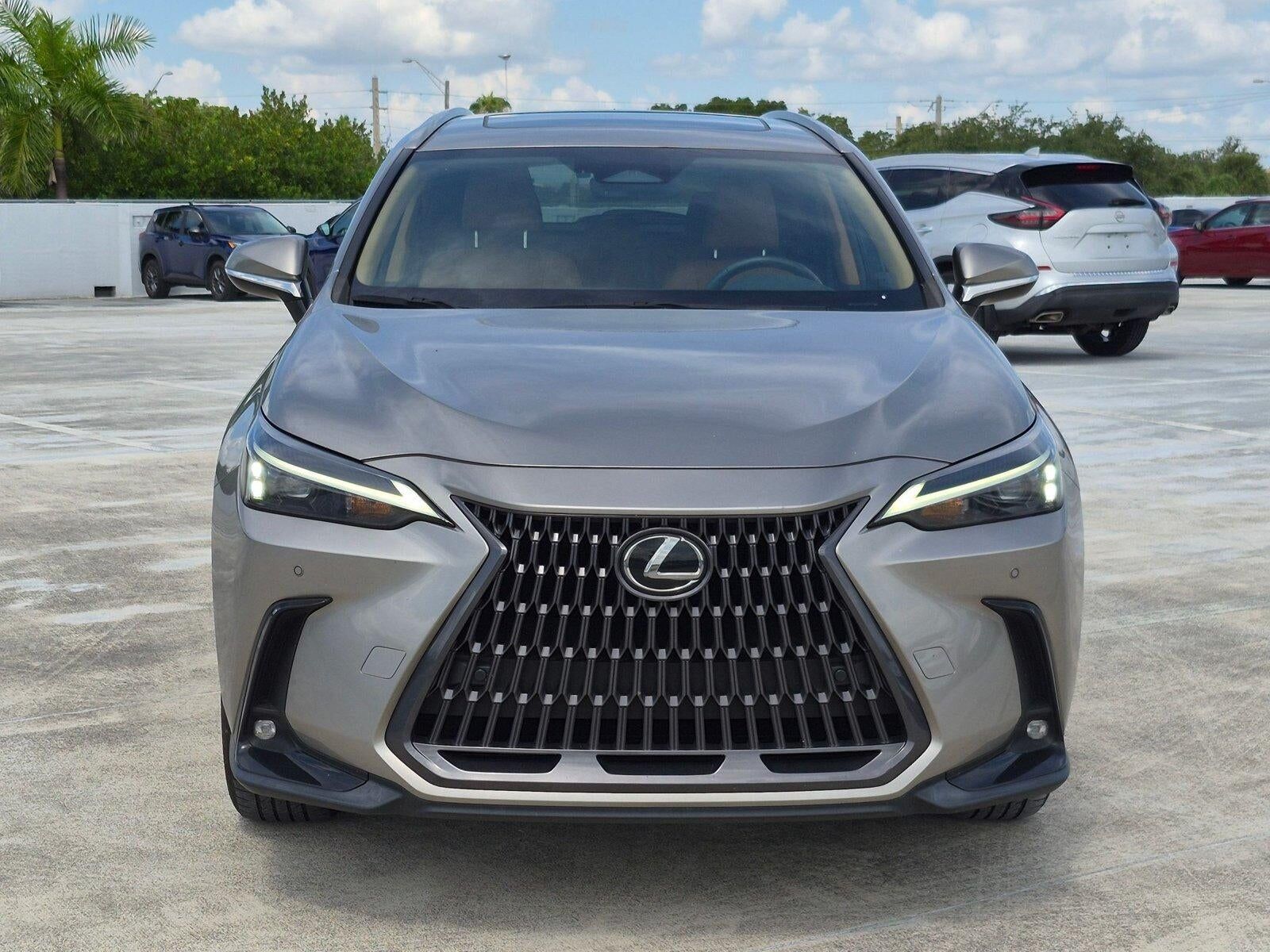 2024 Lexus NX
