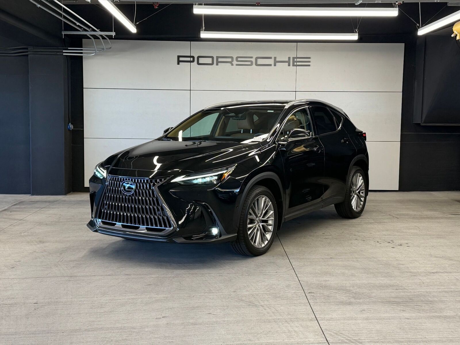 2024 LEXUS NX