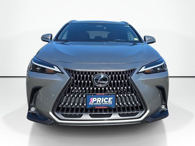 2024 Lexus NX