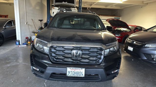 2025 HONDA Passport