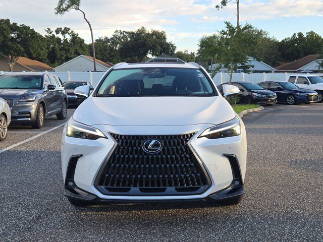 2025 Lexus NX