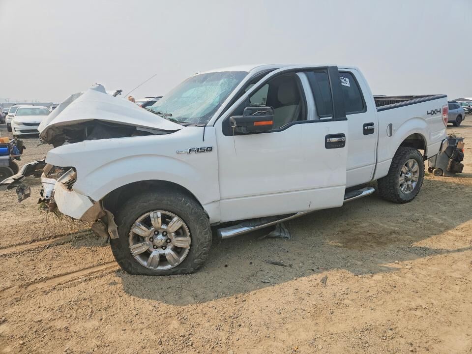 2009 FORD F-150