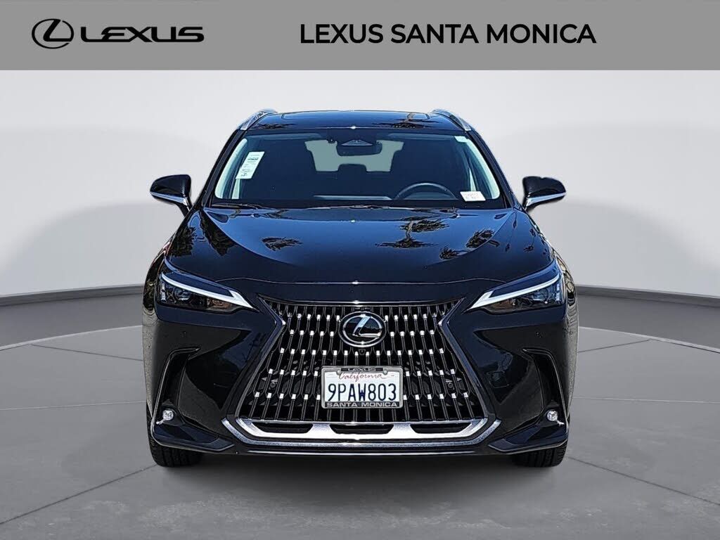 2025 Lexus NX