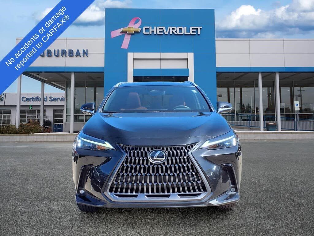 2024 Lexus NX
