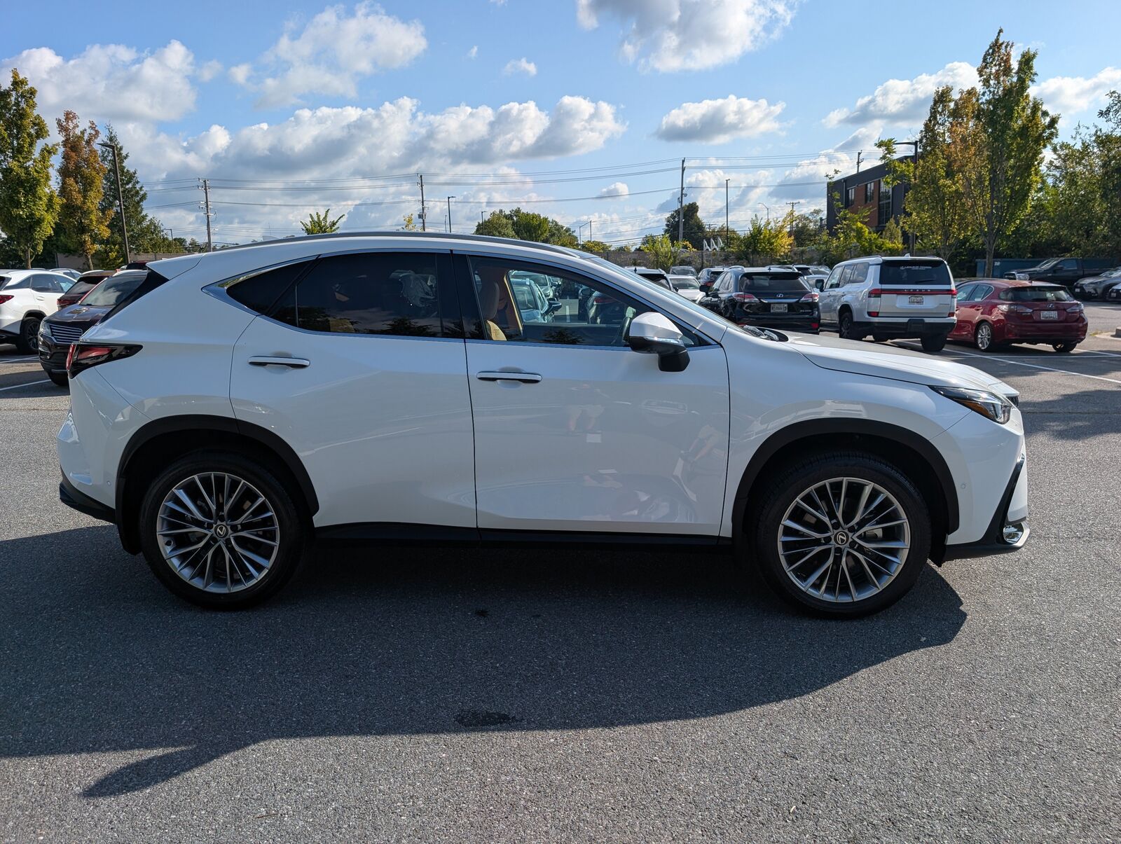 2026 Lexus NX