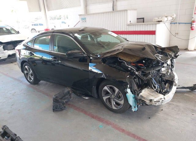 2019 HONDA Insight
