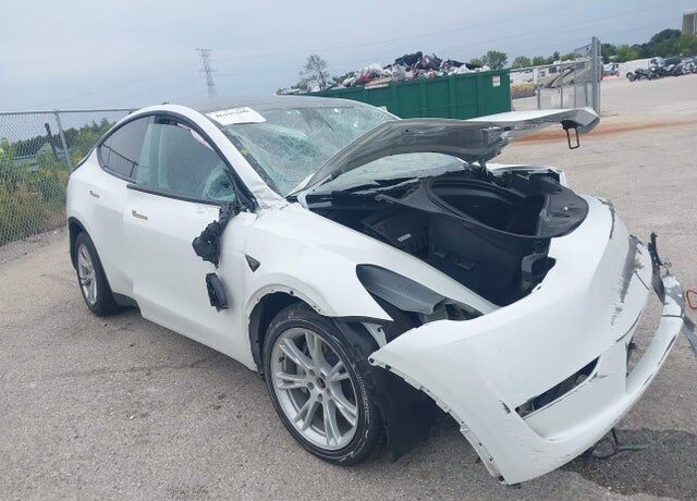 2023 TESLA Model Y