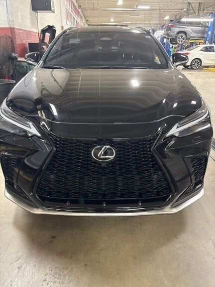 2025 Lexus NX