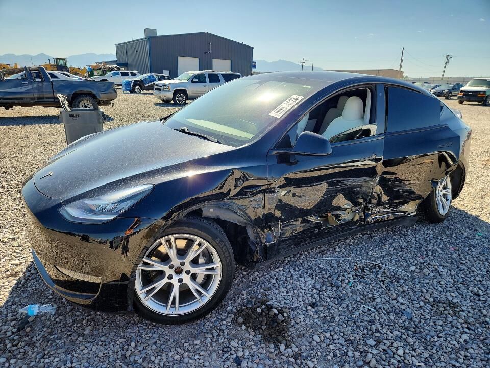 2020 TESLA Model Y