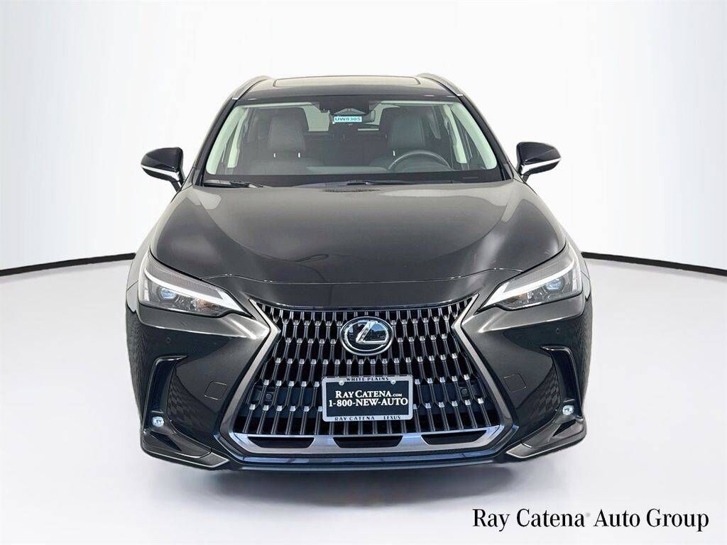 2024 Lexus NX