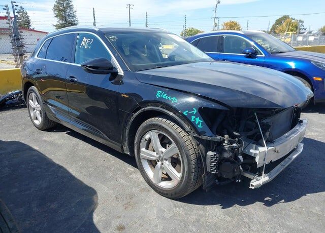 2019 AUDI e-tron