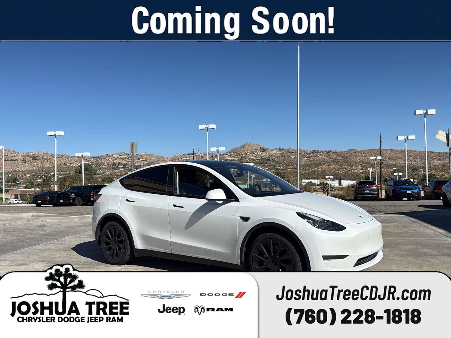 2023 TESLA Model Y