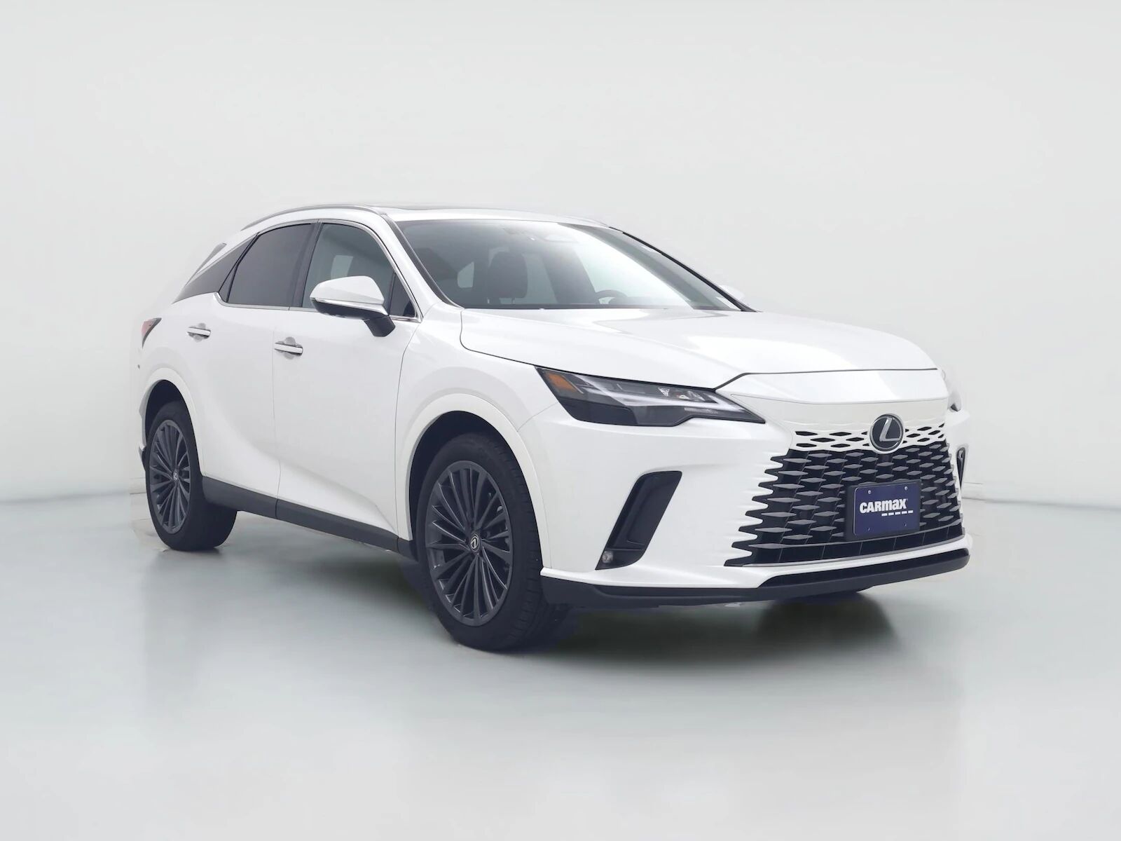 2025 LEXUS RX