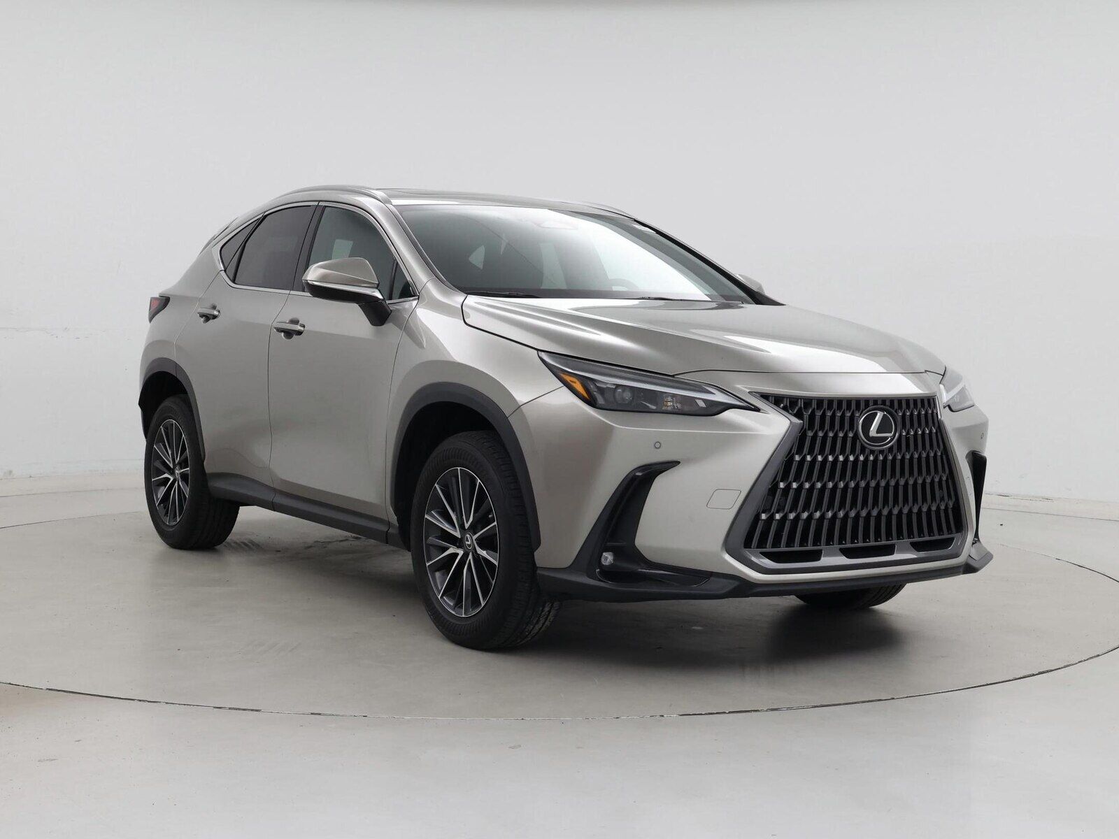 2024 Lexus NX