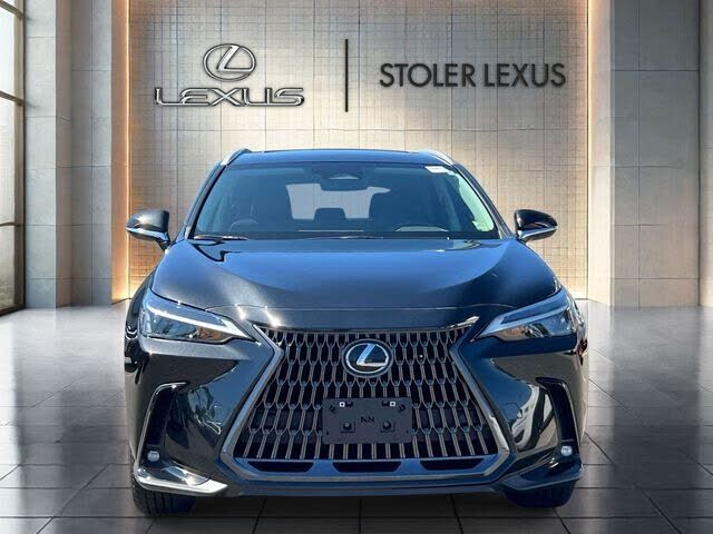 2025 Lexus NX