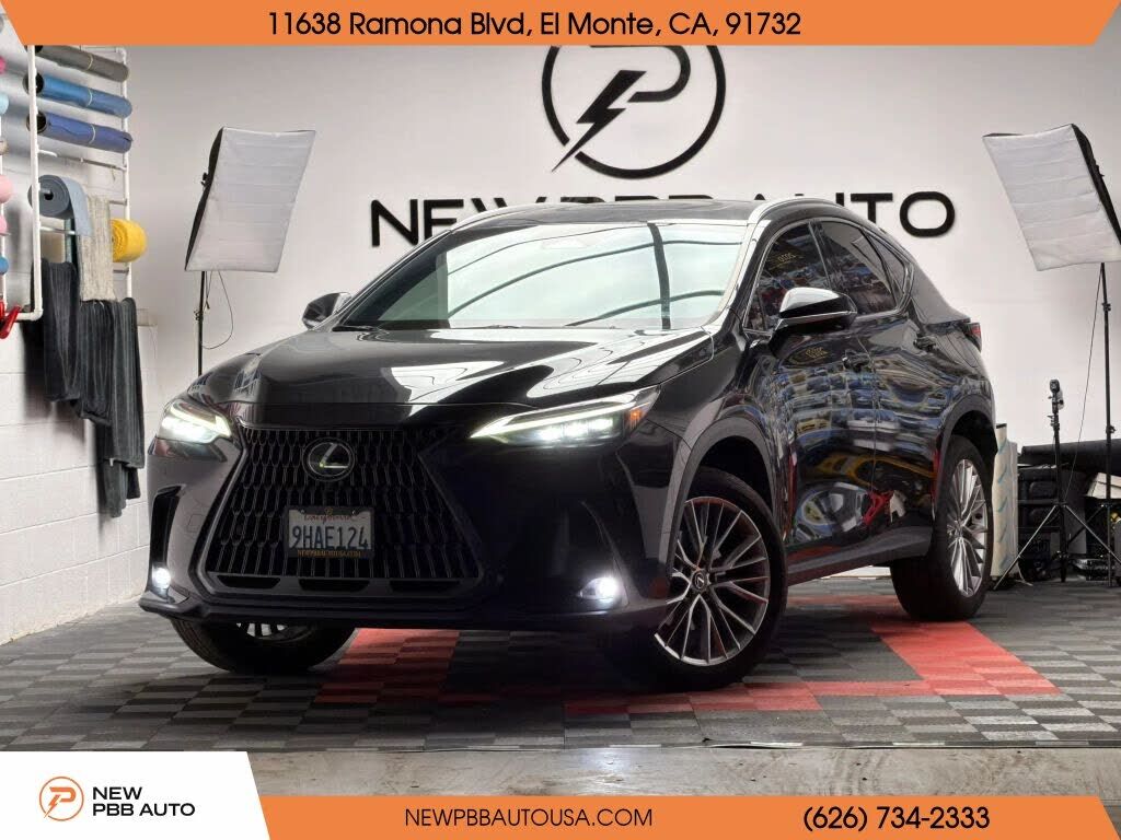 2024 LEXUS NX