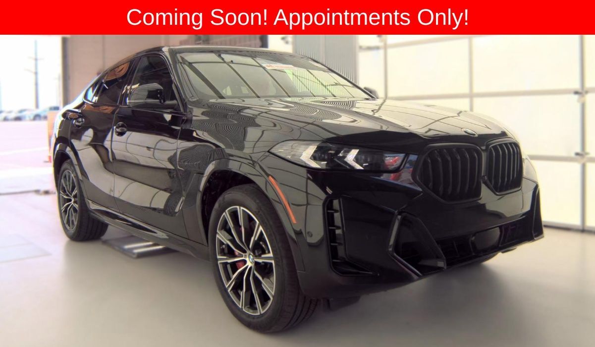 2024 BMW X6