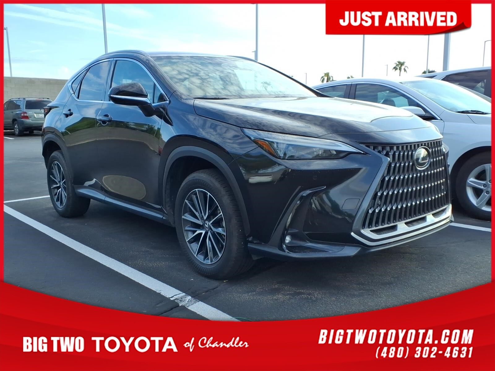 2025 LEXUS NX