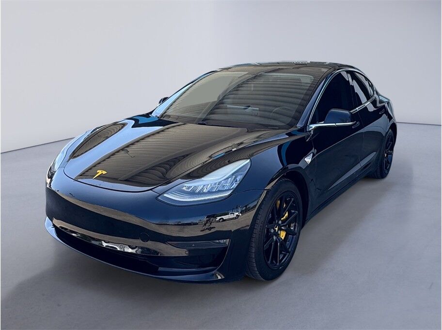 2019 TESLA Model 3