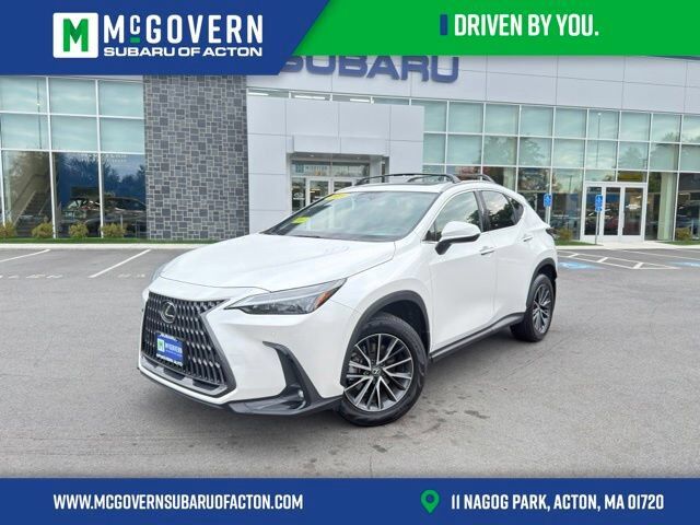 2024 LEXUS NX