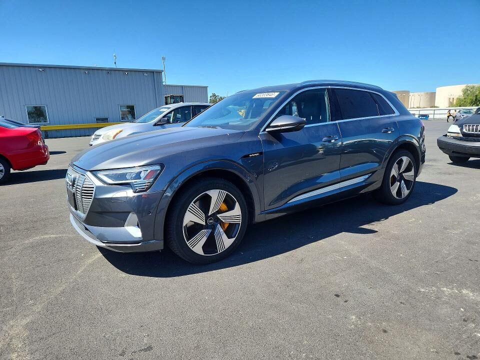 2019 AUDI e-tron