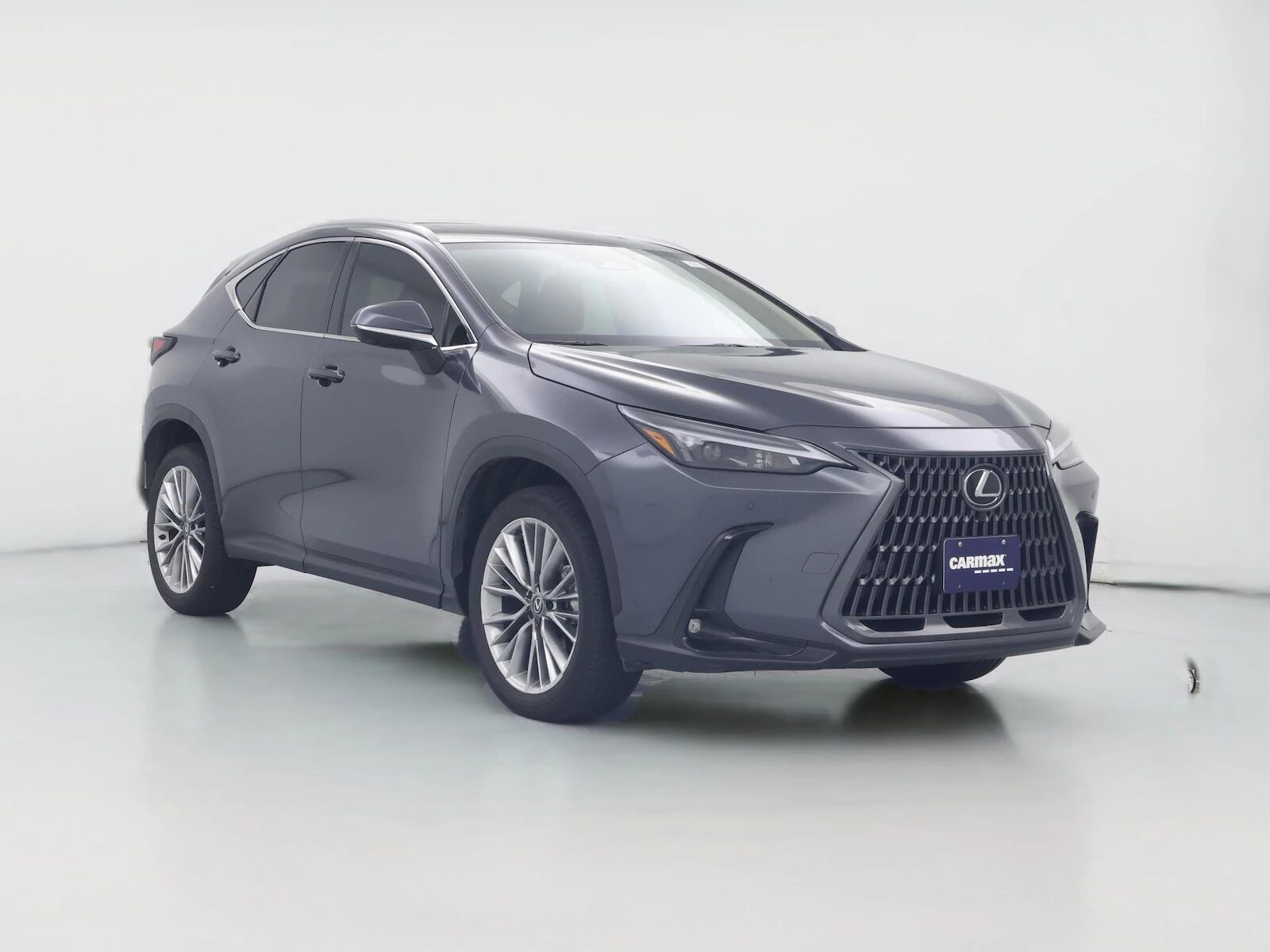 2025 LEXUS NX