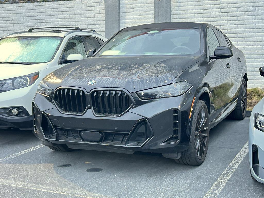 2024 BMW X6