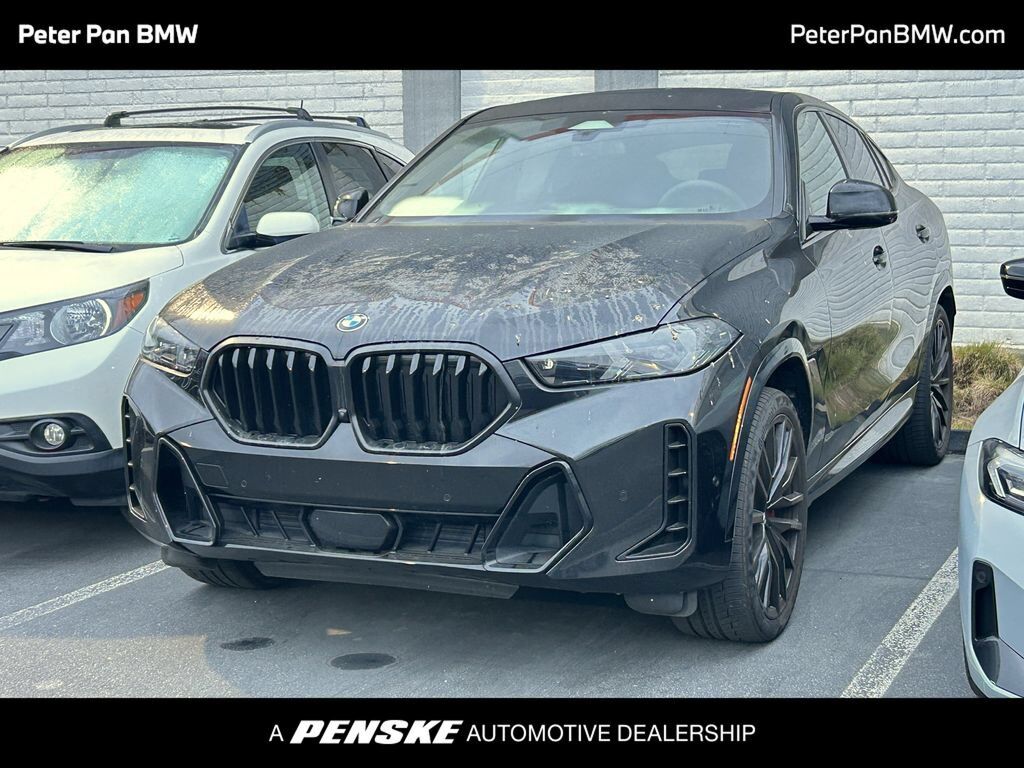 2024 BMW X6